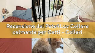 Recensione del Pets4Luv Collare calmante per Gatti - Collari calmanti ai feromoni, Anti ansia per Ga