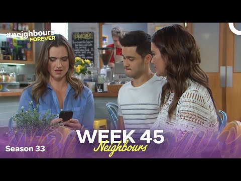 WEEK 45 | Episodes 7731-7735 | Neighbours 2017 (Season 33)
