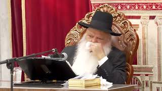 האדם צריך להיות כמו המנורה הטהורה | הרב דניאל זר (הרב דניאל זר) - התמונה מוצגת ישירות מתוך אתר האינטרנט יוטיוב. זכויות היוצרים בתמונה שייכות ליוצרה. קישור קרדיט למקור התוכן נמצא בתוך דף הסרטון