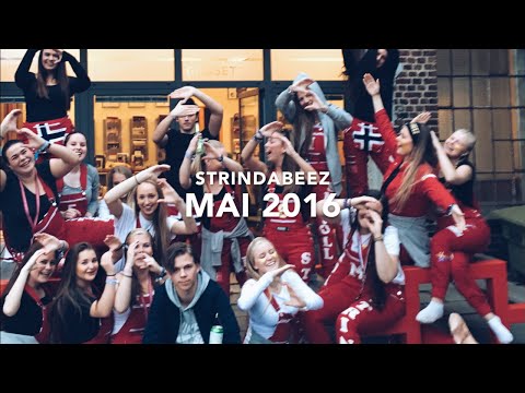 Strindabeez MAI 2016
