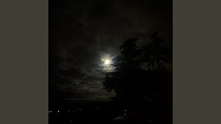 favorite girl (feat. prod. chibi)