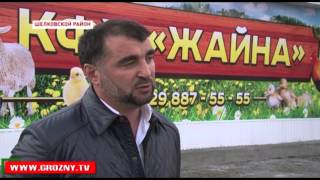 В Шелковском районе открыто фермерское хозяйство «Жайна»