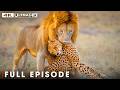 Deadliest Predators Only The Strongest Survive FULL EPISODE Wildlife Documentary