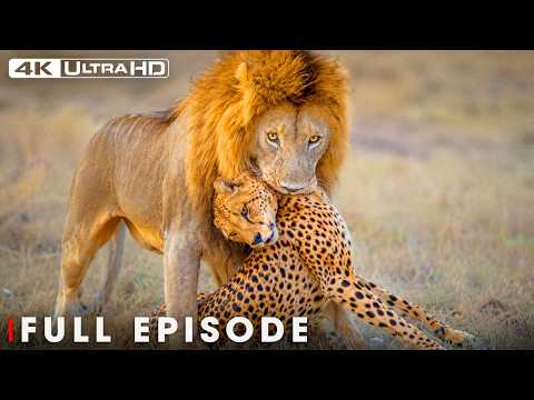 Deadliest Predators