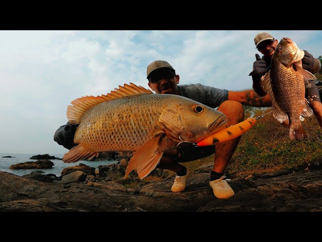 Judge.me YouTube video placeholder