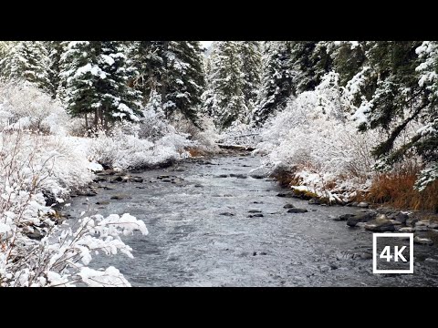 4K Snowy Winter Creek | Relaxing Winter Nature Scene | Gentle River Sounds for Sleep | White Noise