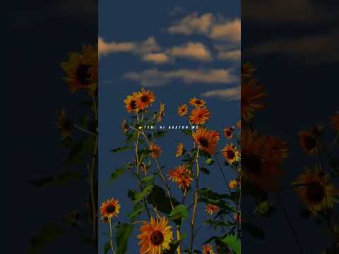 Tum Mere 2 × Fukra insaan ❤️#sad#status#viral#song#lyrics #lyrical#whatsappstatus #business