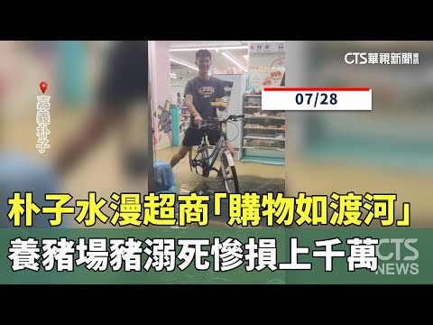 朴子水漫超商「購物如渡河」　養豬場豬溺死慘損上千萬