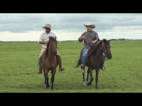 Fama - Franyer Gomez (Vídeo Oficial)