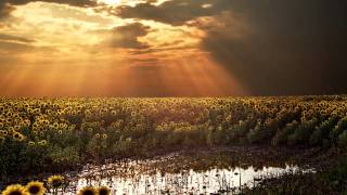 Lux Aeterna - composed by Michael McGlynn, sung by Anuna