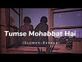 Tumse Mohabbat Hai Slowed Reverb Jalraj Slowed Reverb