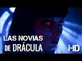 Las Novias De Drácula El Origen Clip Completo Vampiros