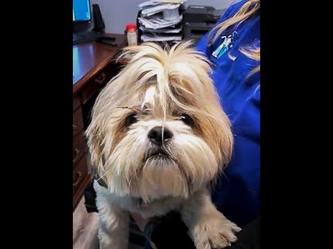 Angel: a special girl who recovered from not being able to walk.