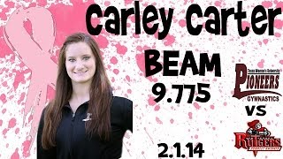 preview picture of video 'Carley Carter - Beam [2/1/14]'