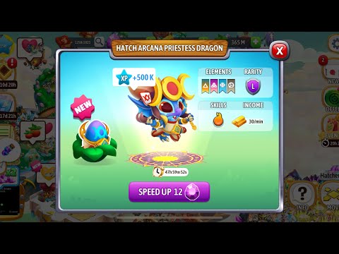 Hatch Arcana Dragon in Dragon City #dragoncitygameplay
