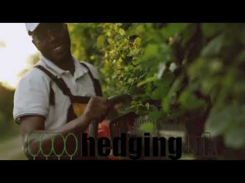 Renovating an overgrown hedge