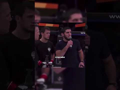 Ислам в роли переводчика  #mma #ufc