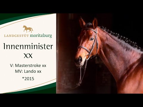 INNENMINISTER XX v. Masterstroke xx - Lando xx 2023