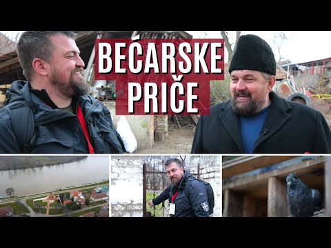 U potrazi za BEĆARIMA | Kako se živi i šta se radi u NOVOM BEČEJU | KULTURISTA Ep.39