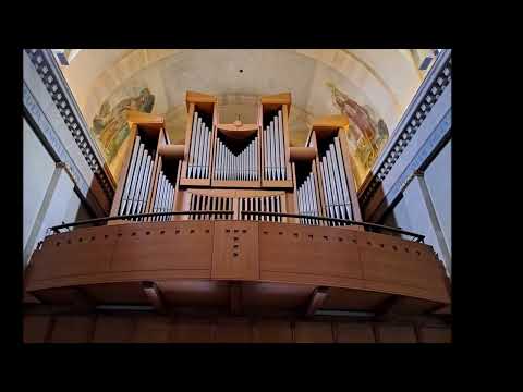 Massimo Dei Cas - Toccata e fuga n. 29 in sol minore per organo