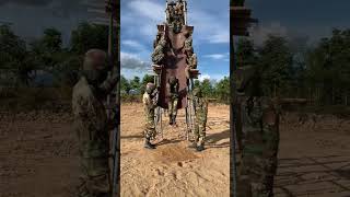 Download lagu Latihan Payung Terjun Tentera   Malaysia #airforce #malaysia #2023 #trending #shorts mp3