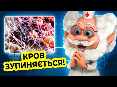 Чому кров зупиняється? як працює згусток!Лікар Лікарчук!