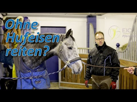 Läuft Bourbon ohne Eisen besser? Barhuf oder wieder beschlagen - Davy Wessels auf Hof Eicheneck