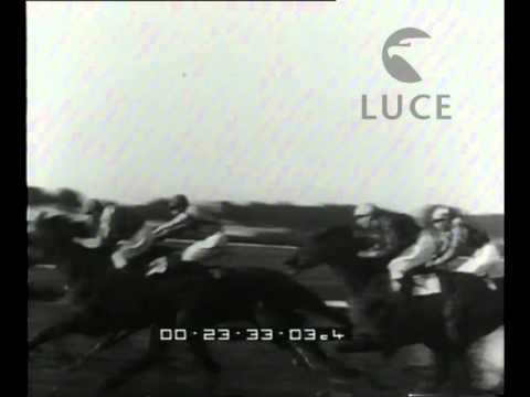 Horse Racing
Queen Elena Grand Prix