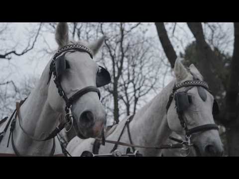 Платина - Гикаю