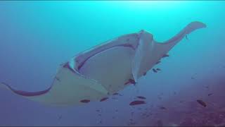 Best of Ari Atoll (original)