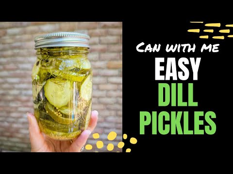 Super Easy Dill Pickle Recipe | Can With Me
