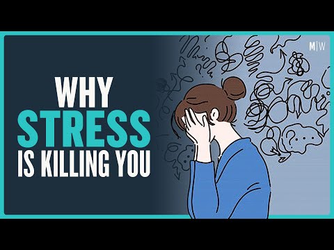 The Neuroscience Of Stress - Jim Poole | Modern Wisdom Podcast 342