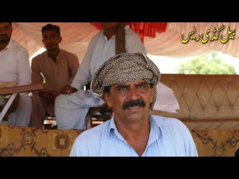 جلسہ چیک دا بیل گھرلہ گھڑہ فتح شاہ پاٹ ون 25/5/2022 race wala game bull ki race