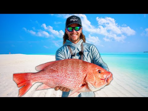 Catching Red Snapper on the Beach!