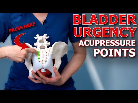 How to Relieve Bladder Urgency and Incontinence with Acupressure: Expert Tips