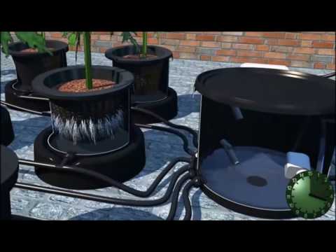 How The IWS Flood and Drain Hydroponics System Works