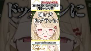立川を飼い主の目線で見守るととち【小雀とと/立川/心白てと/或世イヌ/Ajaka/ぶいすぽっ！/VALORANT/切り抜き】#shorts