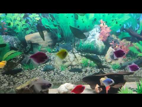 so beautiful 😊👍🏻