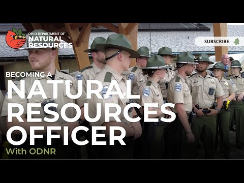 Odnr