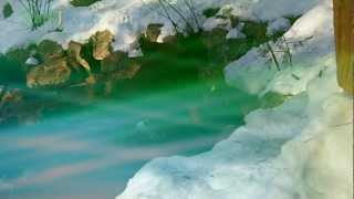 Gratitude Meditation