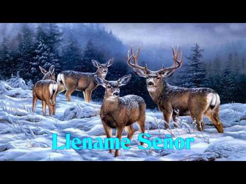 LLÉNAME SEÑOR - Milagros Fajardo