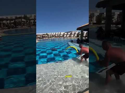 الراجل مش مصدق اللي لاقاه أثناء السياحة 😲