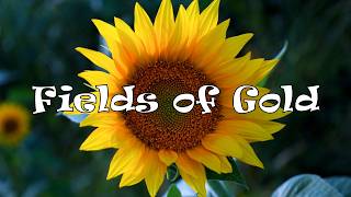 Epic Sunflower Festival at Colorado's Hidden Paradise