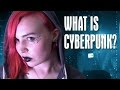 Why Do We Love Cyberpunk? 