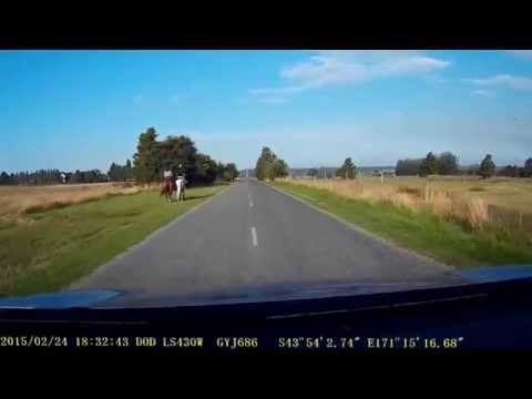 How to pass horse riders safely