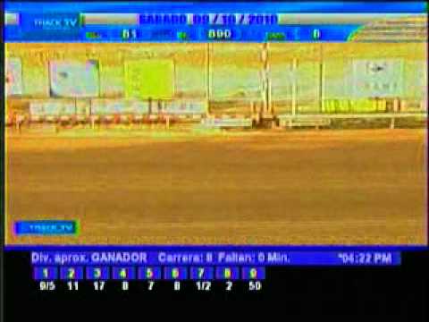 Resumen sábado 9 de octubre 2010 - La Rinconada