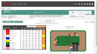 Handicap stakes races from Gulfstream Park with Race Lens