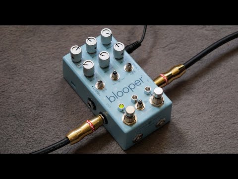 Chase Bliss Audio - Blooper