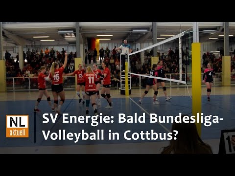 SV Energie Cottbus | Bald Bundesliga-Volleyball in Cottbus?