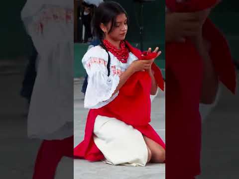 Talleres de Artes CCE Napo 2026